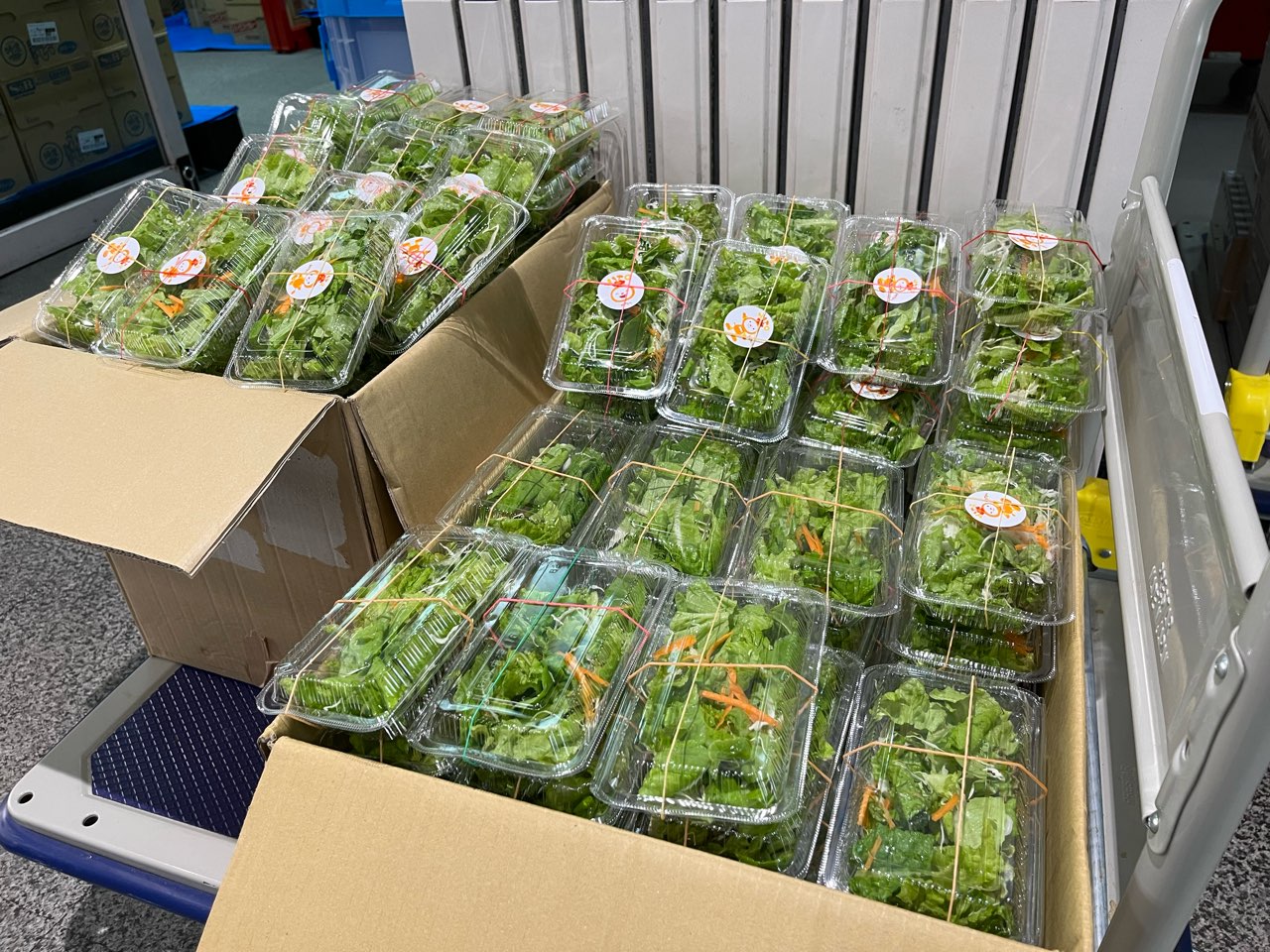おきなわこども未来ランチサポート様にパックサラダを「170食」寄付しました。
