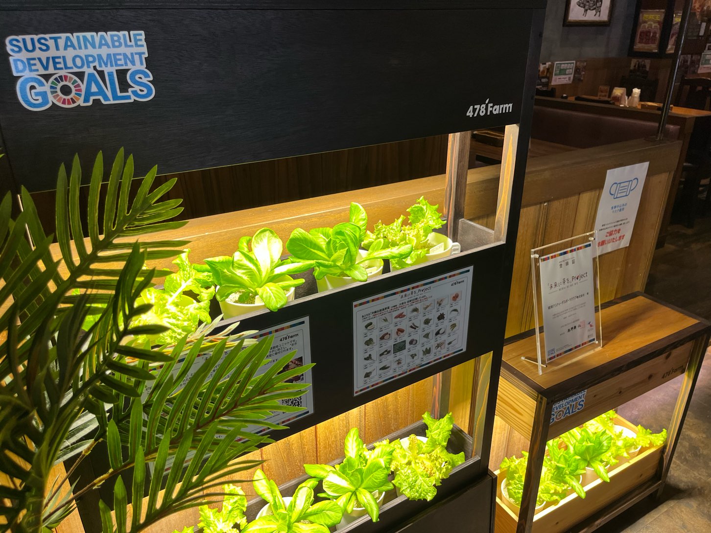 琉球アスティーダスポーツクラブ株式会社様から野菜の寄付をいただきました