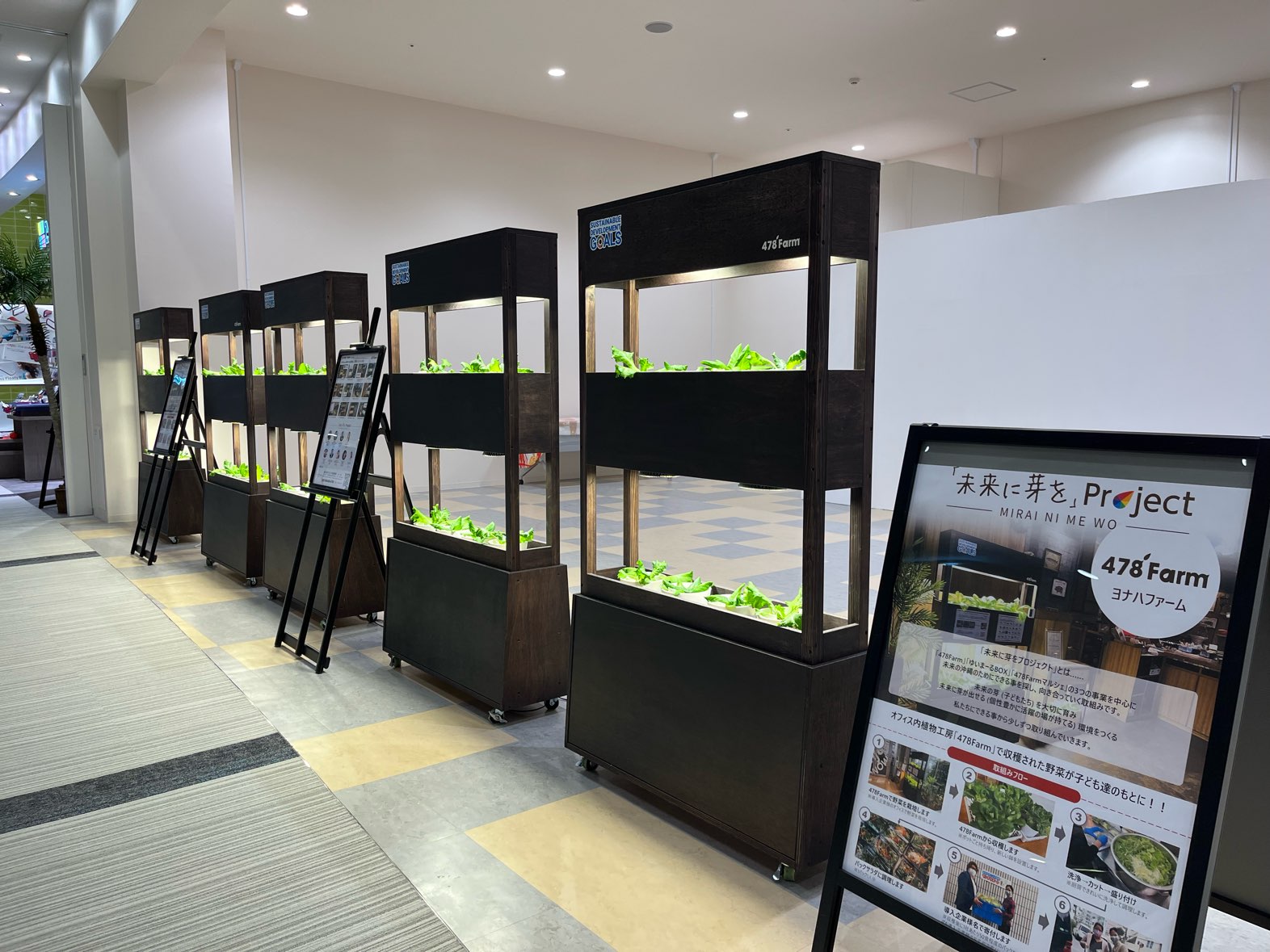 イーアス沖縄豊崎設置の478Farmの野菜がすくすく育っています