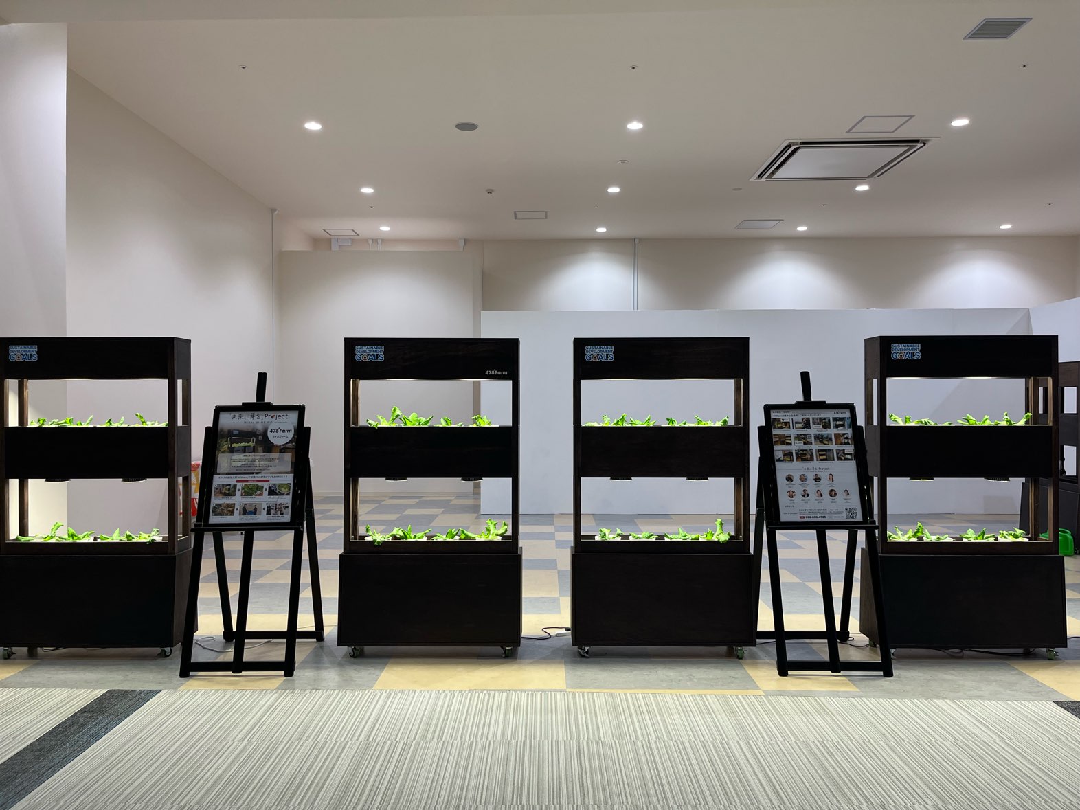 イーアス沖縄豊崎設置の478Farmの野菜がすくすく育っています