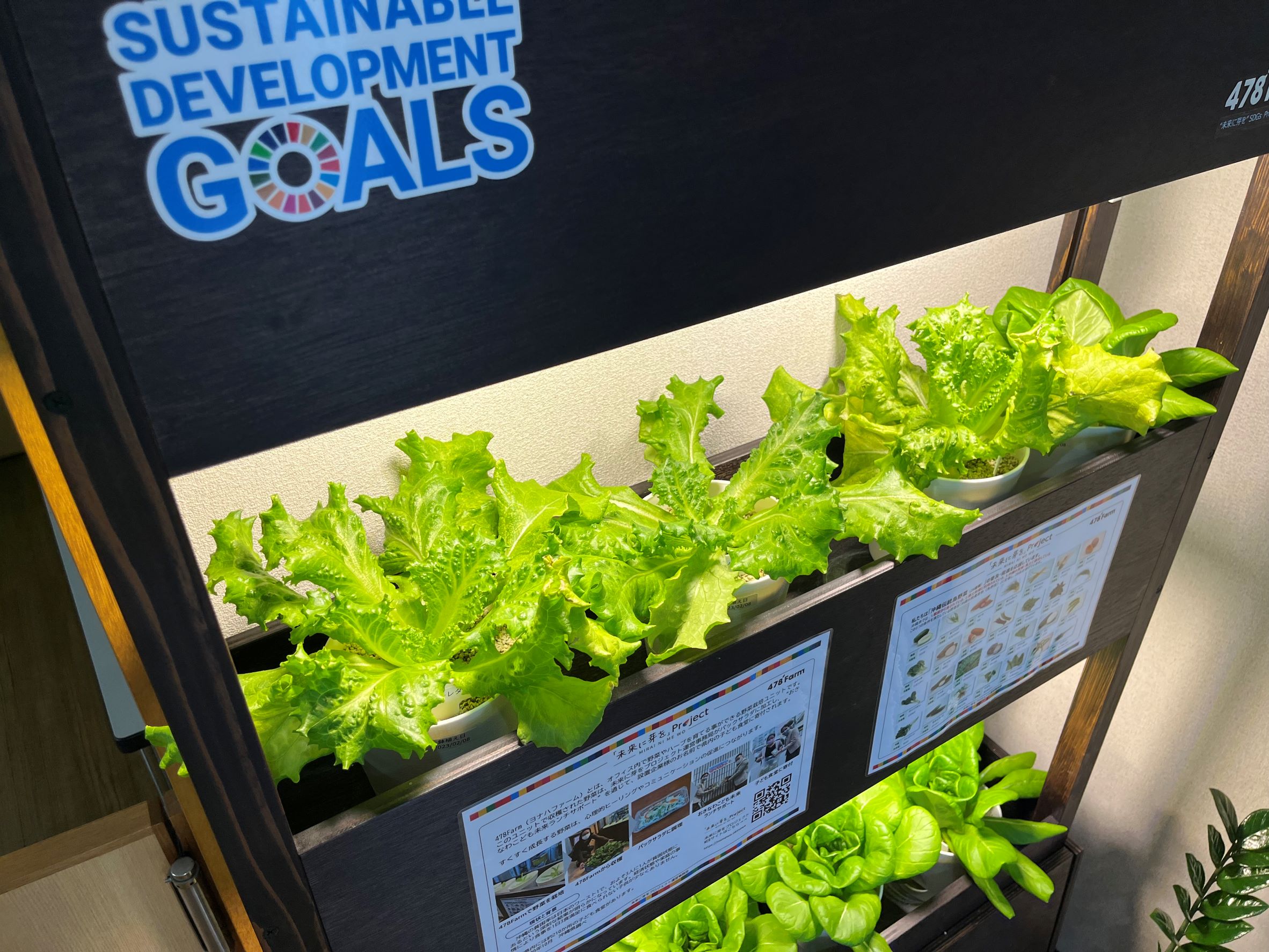 大髙商事株式会社様から野菜の寄付を頂きました。