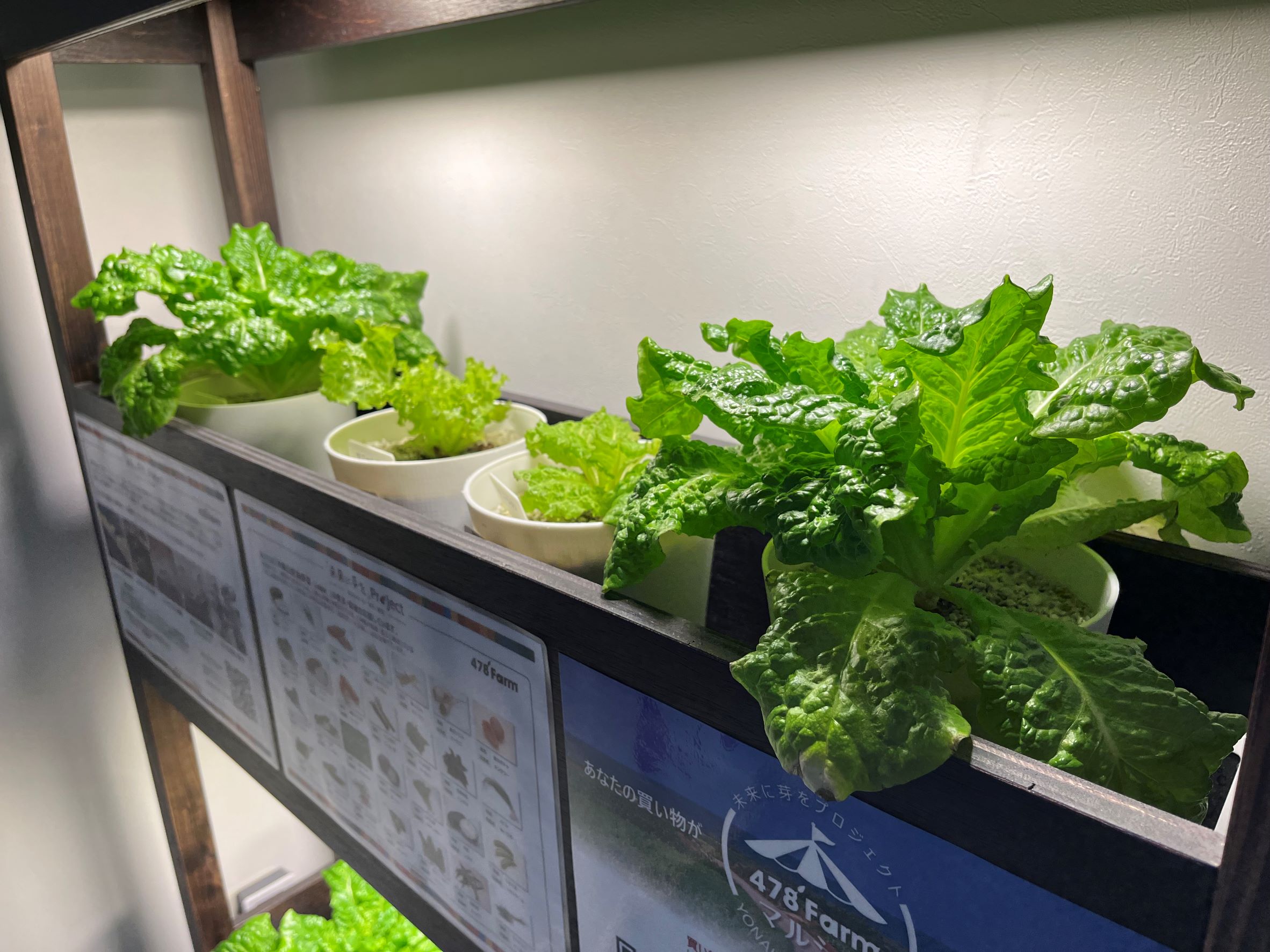 株式会社lab様から野菜の寄付を頂きました。