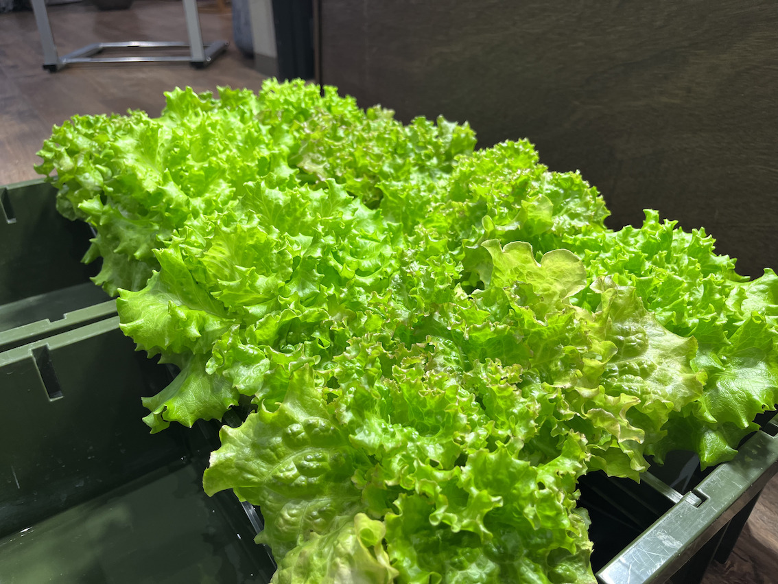 株式会社みらいおきなわ様から野菜の寄付をいただきました。