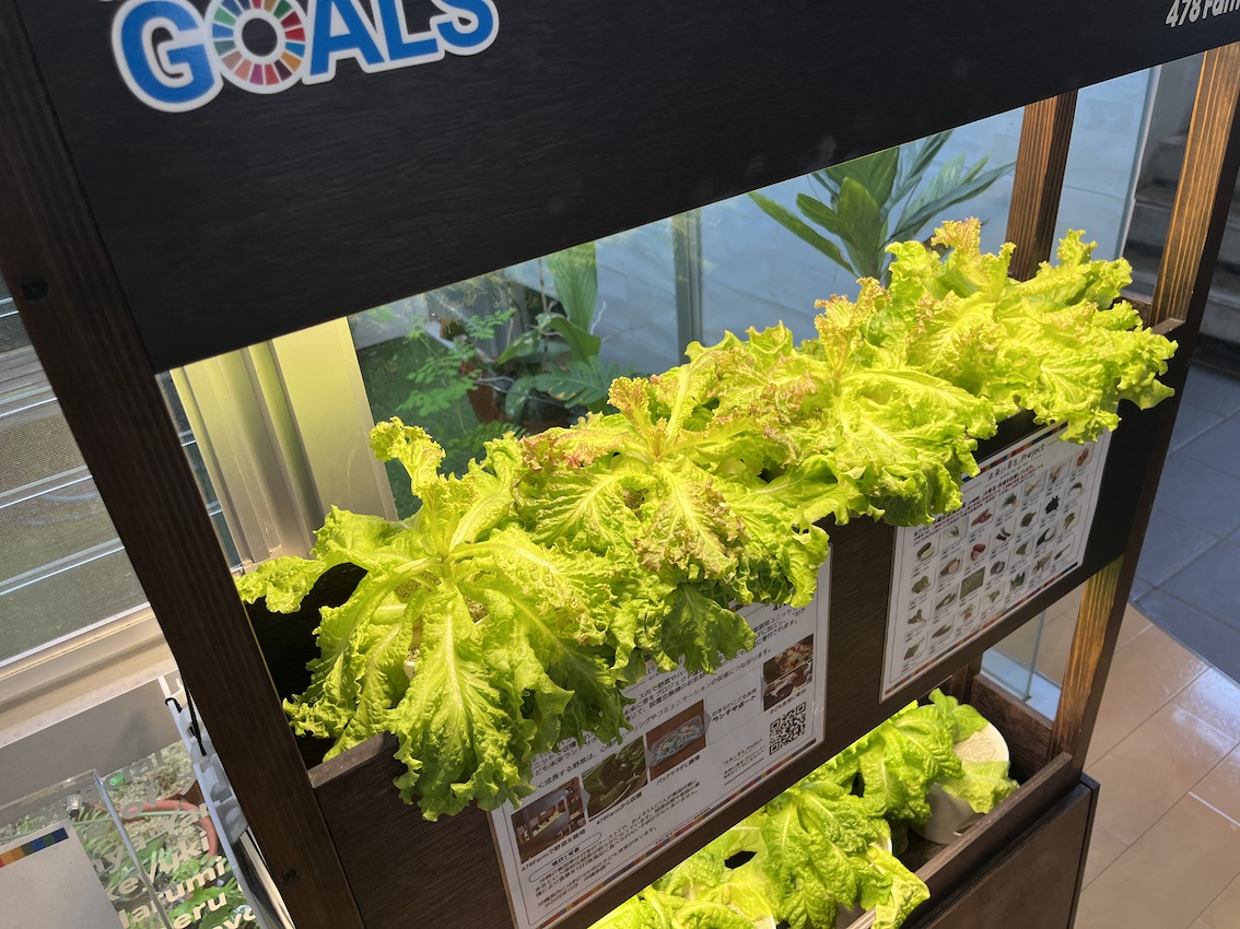コーカス様から野菜を寄付していただきました。